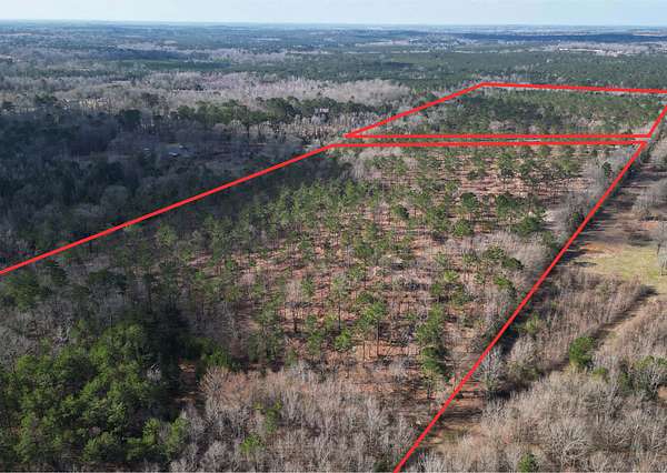 31.2 Acres of Land for Sale in Queen City, Texas