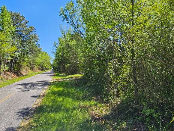 10 Acres of Land for Sale in Guin, Alabama