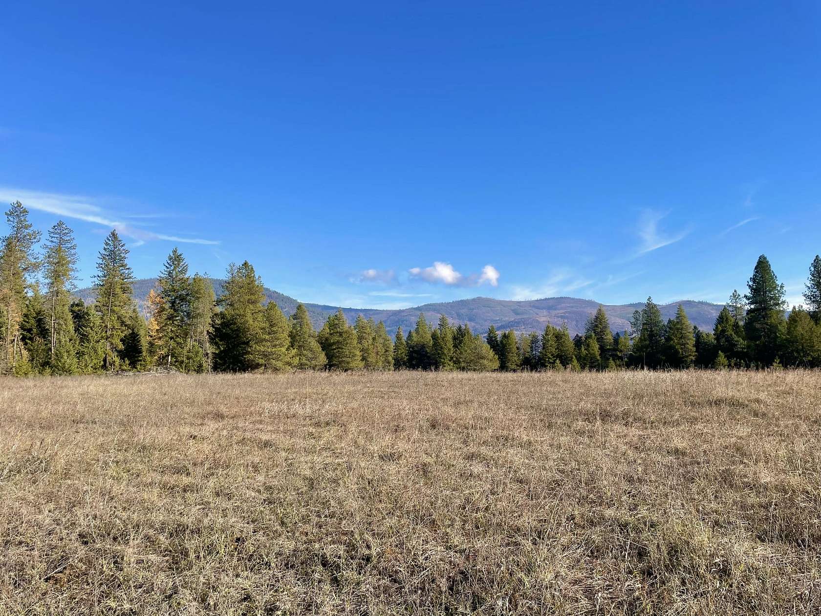 40 Acres of Land for Sale in Colville, Washington