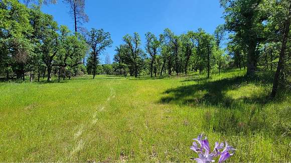 8.3 Acres of Residential Land for Sale in Cottonwood, California