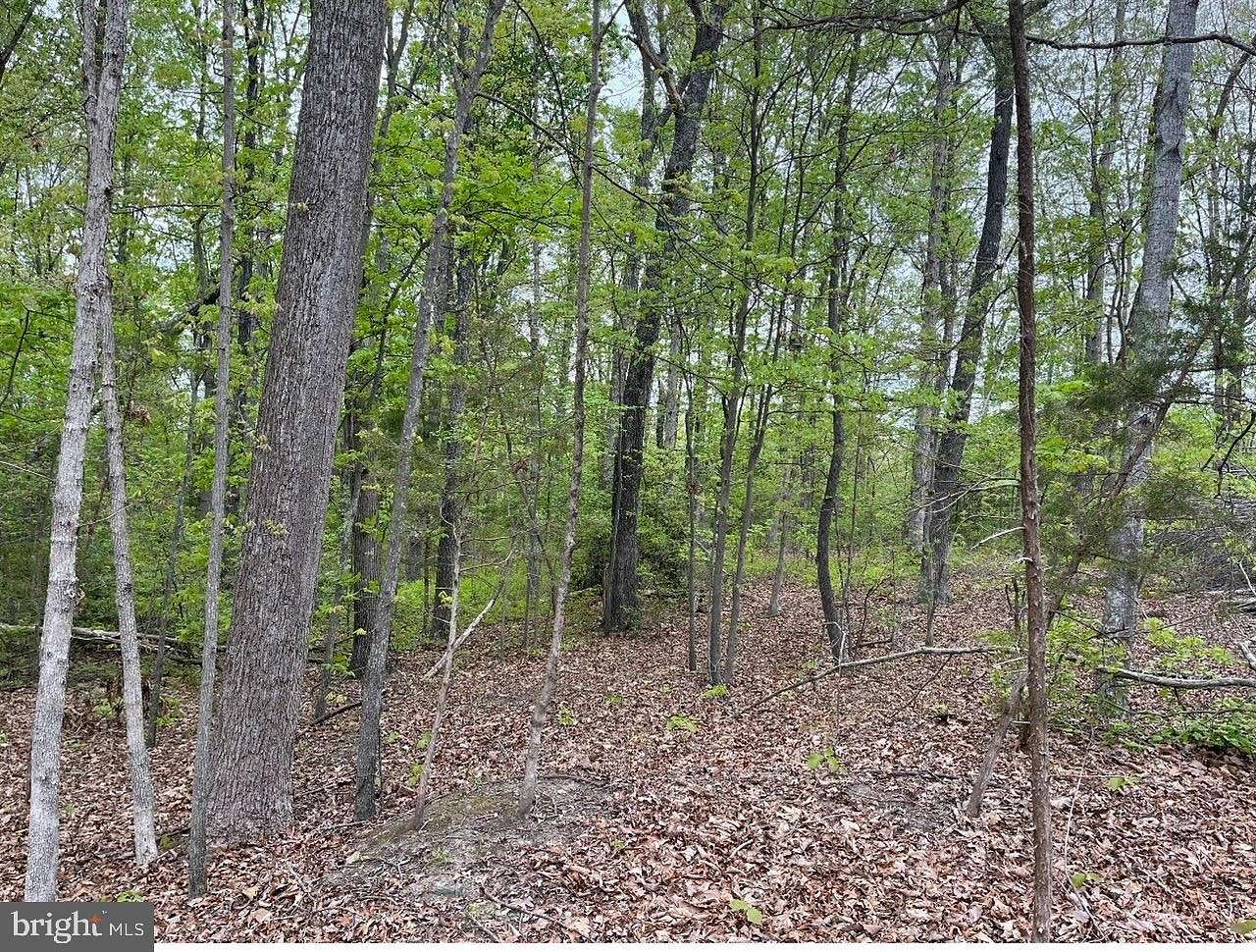 Residential Land for Sale in Woodford, Virginia