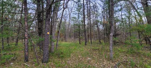 10.5 Acres of Land for Sale in Baldwin, Michigan