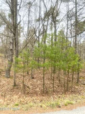 1.3 Acres of Residential Land for Sale in Hawley, Pennsylvania