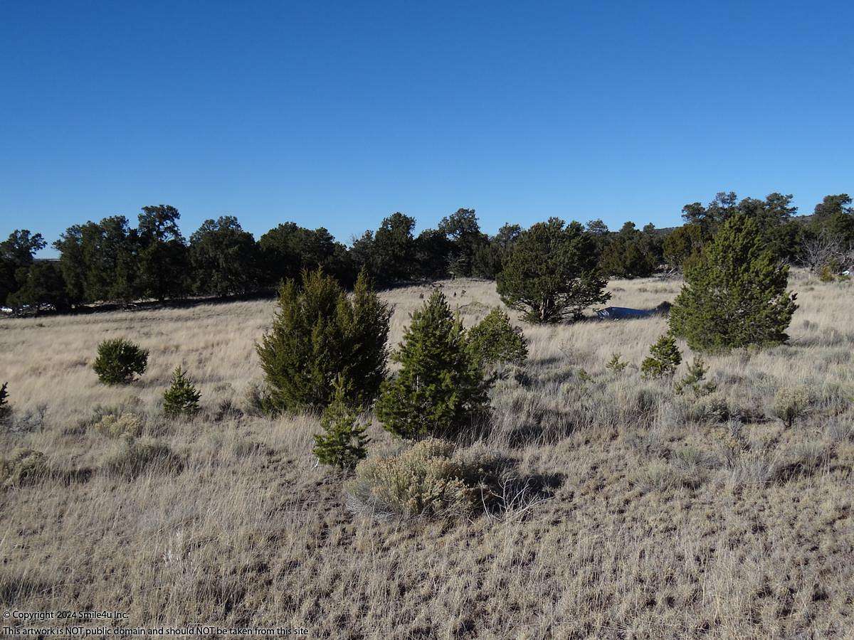 5 Acres of Land for Sale in Quemado, New Mexico