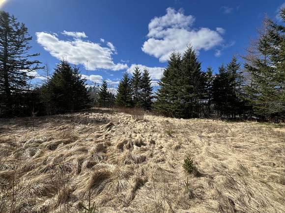 1 Acre of Land for Sale in Jonesboro, Maine