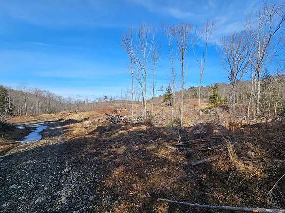 100 Acres of Land for Sale in Washington, Maine
