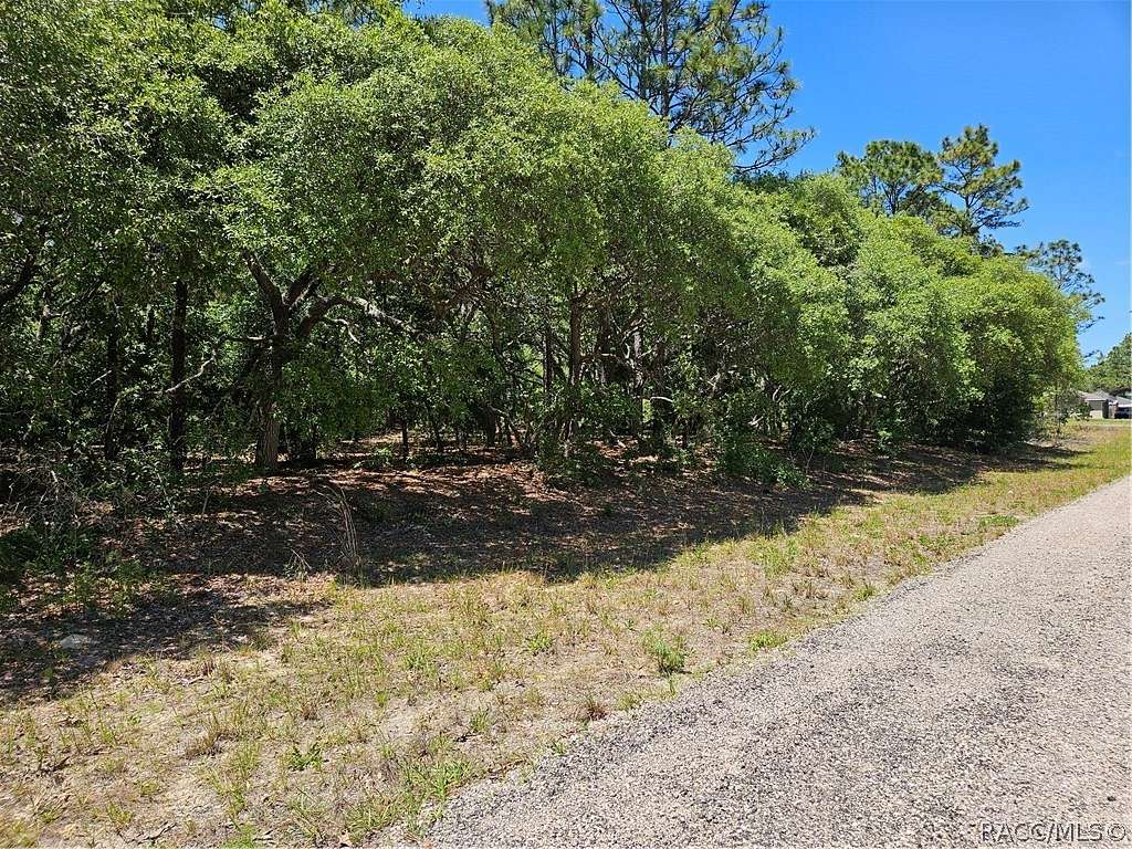 0.46 Acres of Residential Land for Sale in Dunnellon, Florida