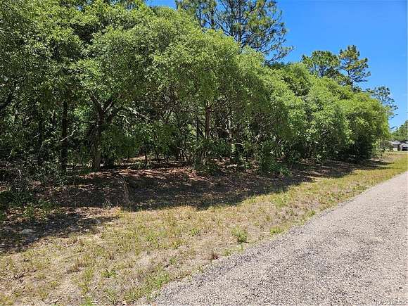 0.46 Acres of Residential Land for Sale in Dunnellon, Florida