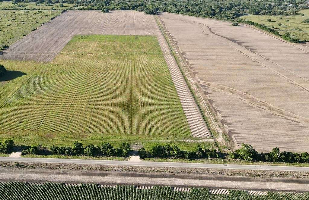 10.2 Acres of Land for Sale in Blessing, Texas