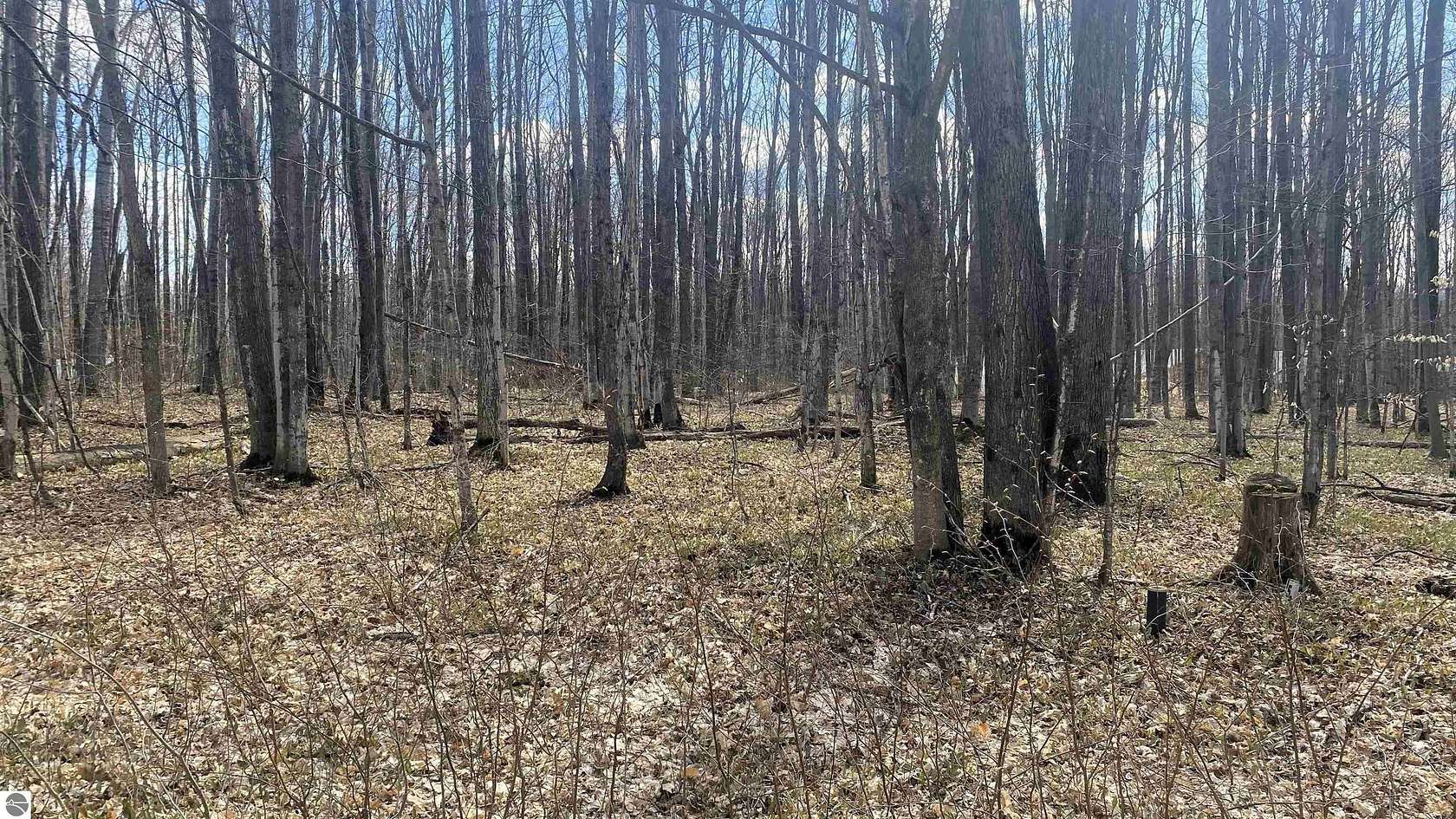0.57 Acres of Residential Land for Sale in Elmira, Michigan
