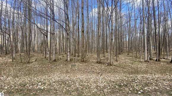 0.44 Acres of Residential Land for Sale in Elmira, Michigan
