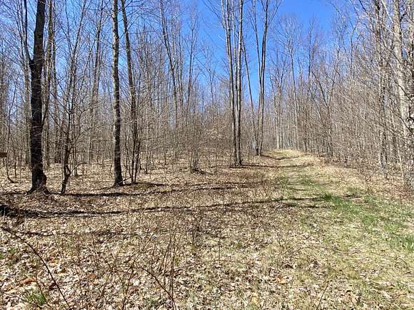 10 Acres of Recreational Land for Sale in Frederic, Michigan