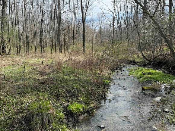 6.3 Acres of Recreational Land for Sale in Grove, New York