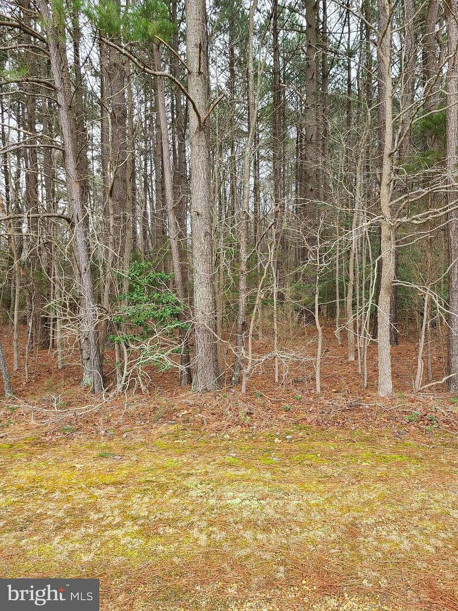 0.92 Acres of Residential Land for Sale in Newburg, Maryland