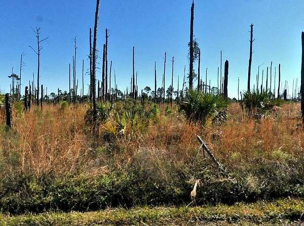 0.2 Acres of Land for Sale in North Port, Florida