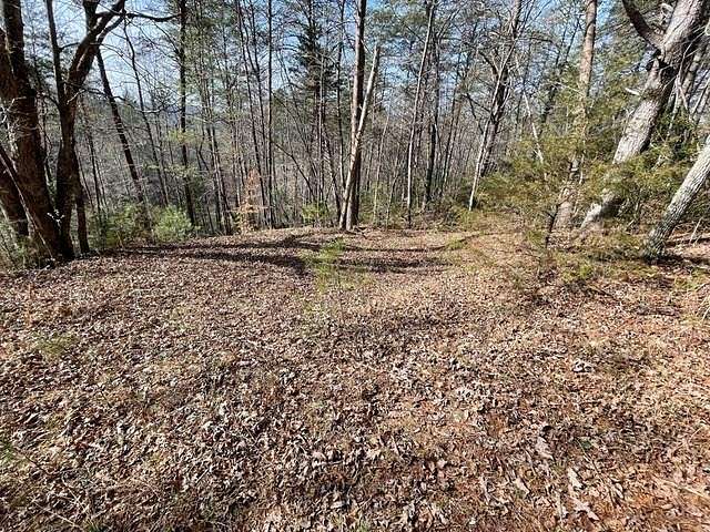 0.49 Acres of Residential Land for Sale in Otto, North Carolina