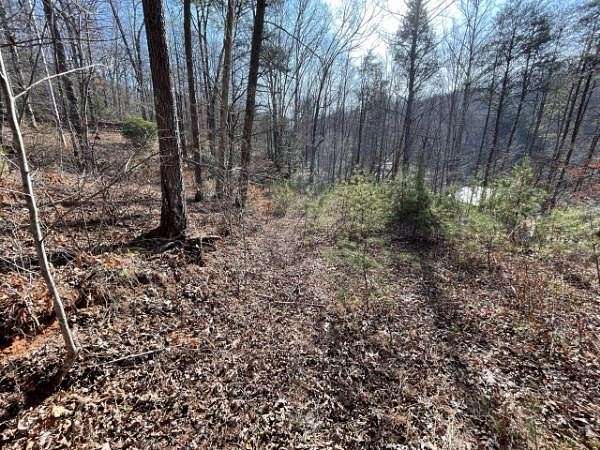 0.49 Acres of Residential Land for Sale in Otto, North Carolina