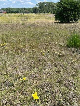 1.4 Acres of Residential Land for Sale in Polk City, Florida