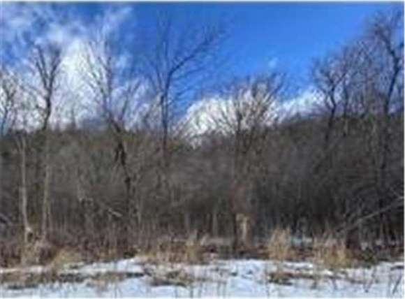 0.46 Acres of Residential Land for Sale in Trenton Town, Wisconsin