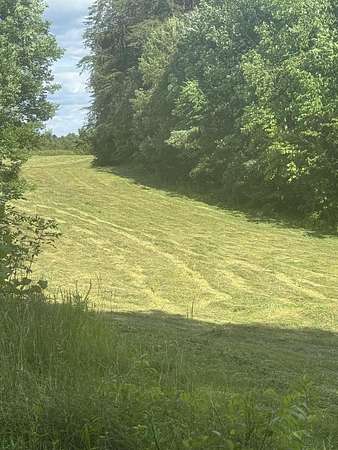 14.6 Acres of Land for Sale in Columbia, Kentucky