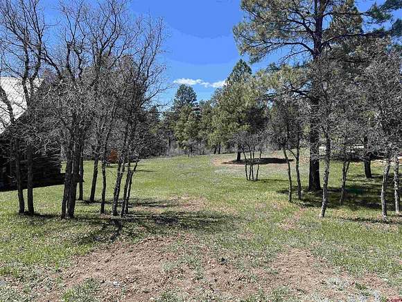 0.33 Acres of Residential Land for Sale in Pagosa Springs, Colorado