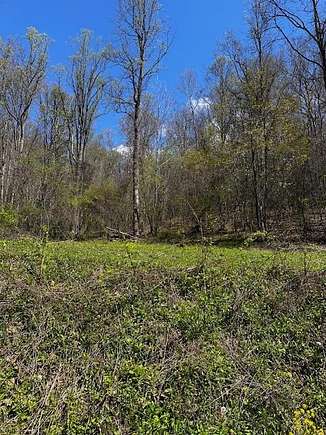 Land for Sale in Scarbro, West Virginia