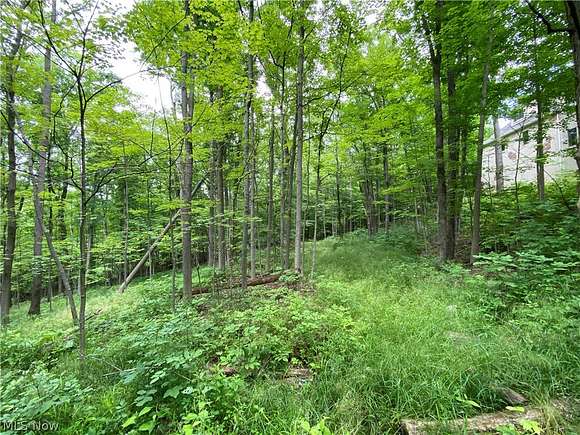 2.5 Acres of Residential Land for Sale in Richfield, Ohio