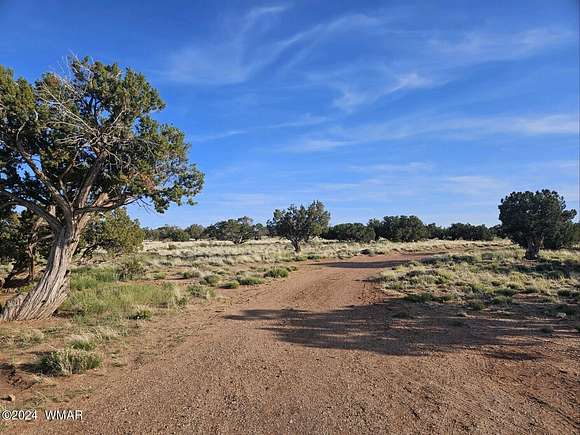 37.5 Acres of Land with Home for Sale in Concho, Arizona