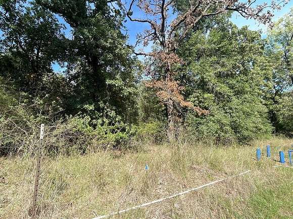 1 Acre of Residential Land for Sale in Streetman, Texas