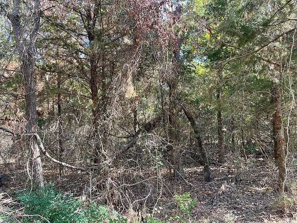 1 Acre of Residential Land for Sale in Streetman, Texas
