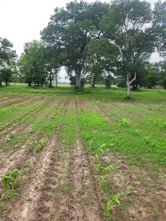 3 Acres of Residential Land for Sale in Purdon, Texas