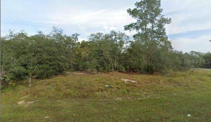 0.27 Acres of Residential Land for Sale in Kissimmee, Florida