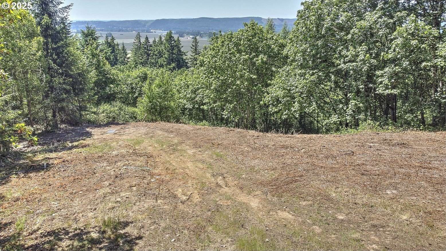 5.32 Acres of Residential Land for Sale in Woodland, Washington