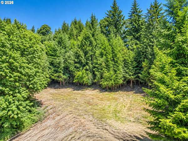 5.32 Acres of Residential Land for Sale in Woodland, Washington