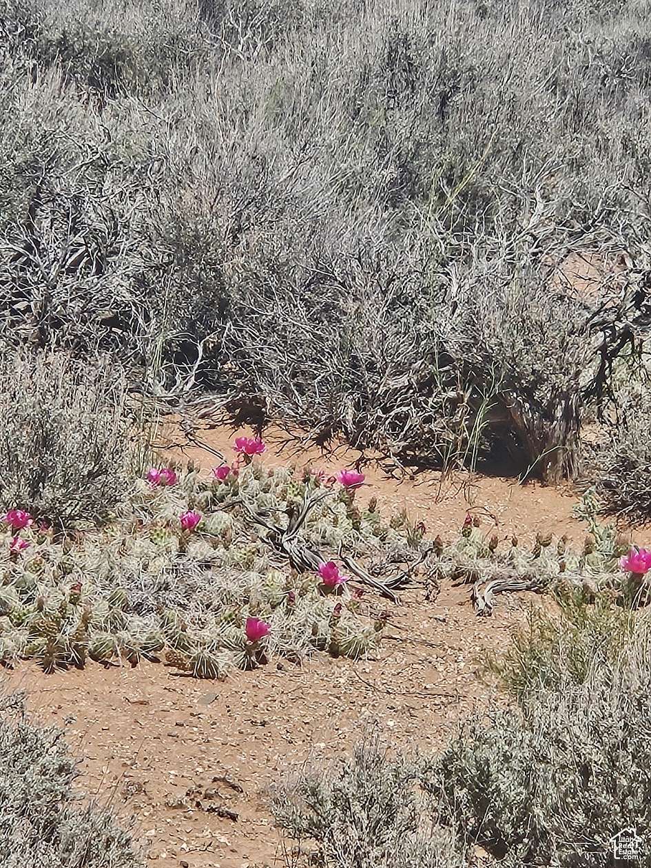 5 Acres of Residential Land for Sale in Duchesne, Utah