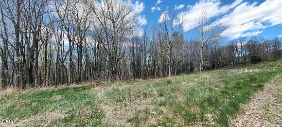 0.5 Acres of Residential Land for Sale in Newland, North Carolina