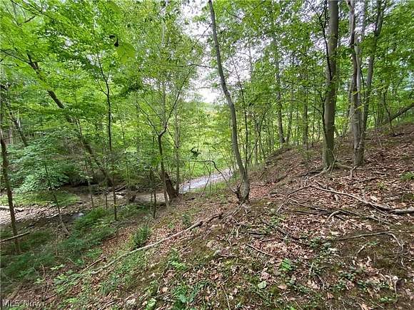 5 Acres of Residential Land for Sale in Richfield, Ohio