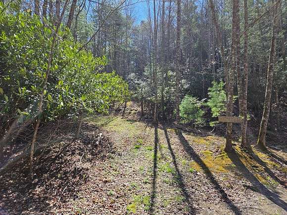 17.3 Acres of Recreational Land for Sale in Fries, Virginia