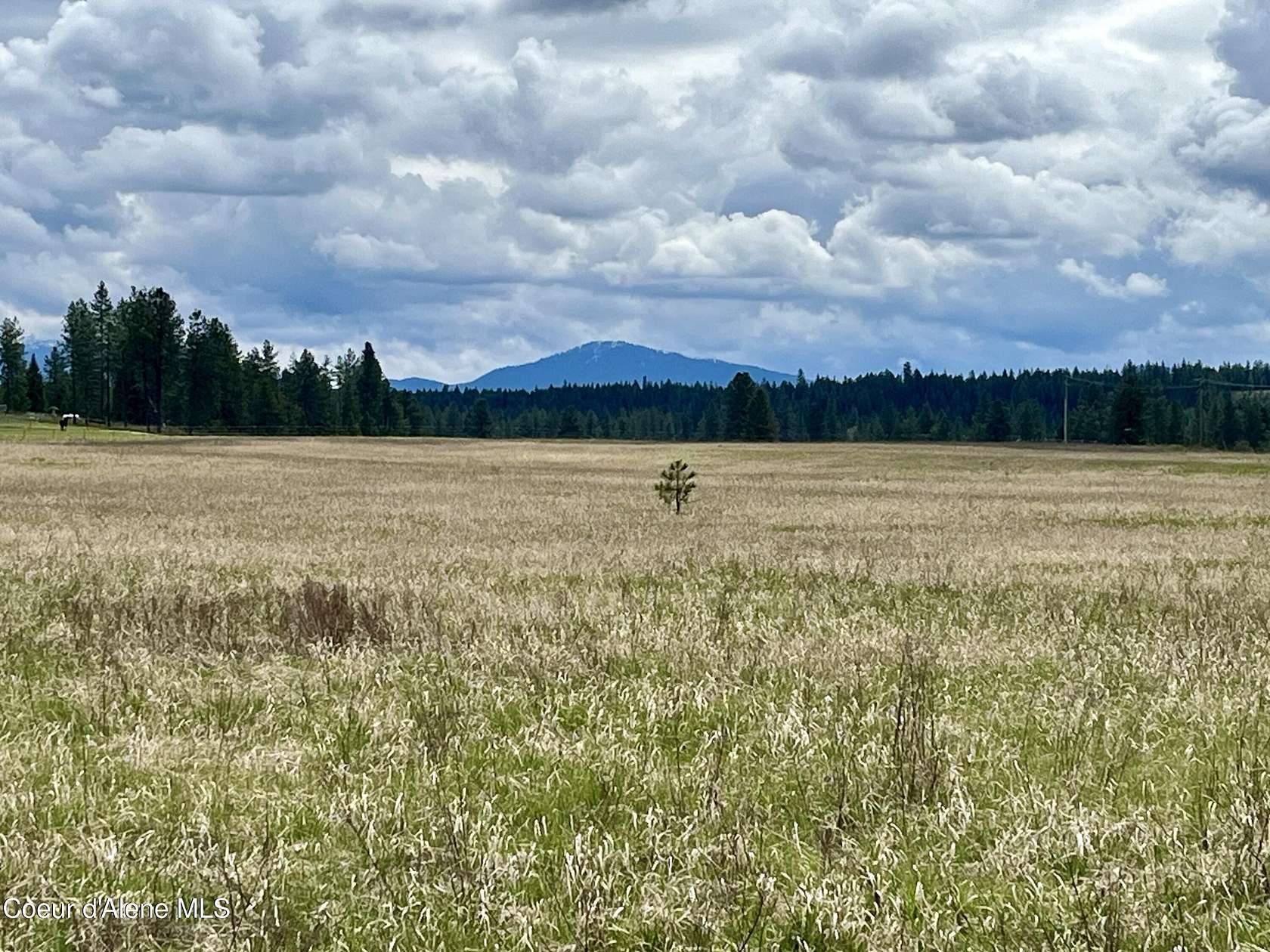 10.32 Acres of Recreational Land & Farm for Sale in Athol, Idaho