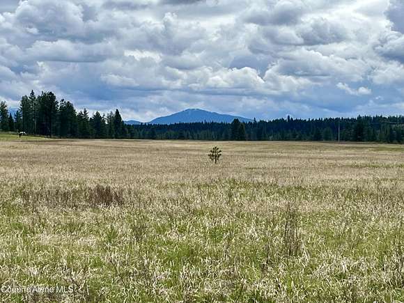 10.3 Acres of Recreational Land & Farm for Sale in Athol, Idaho