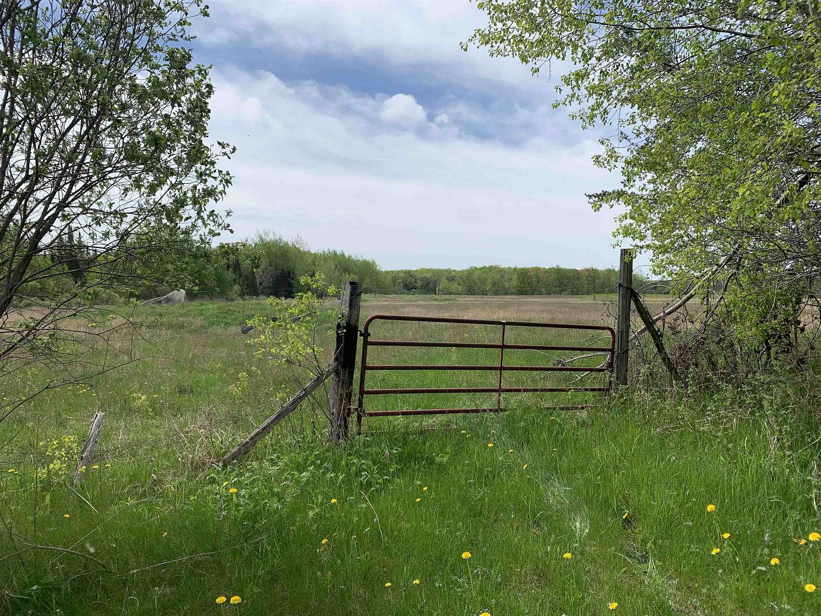 41.1 Acres of Recreational Land & Farm for Sale in Brantwood, Wisconsin