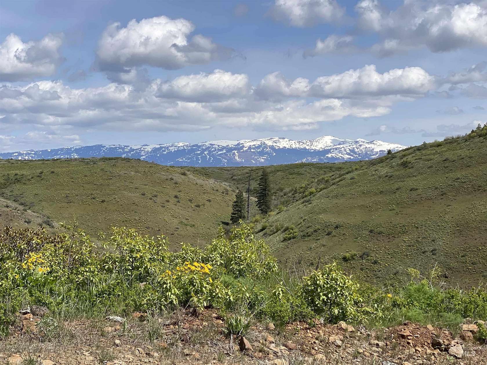 119 Acres of Land for Sale in Council, Idaho