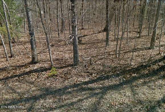 0.3 Acres of Residential Land for Sale in Crossville, Tennessee