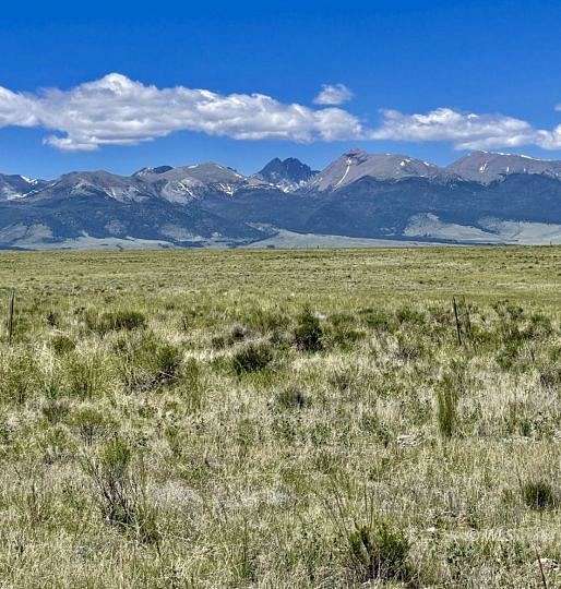 81.8 Acres of Land for Sale in Westcliffe, Colorado