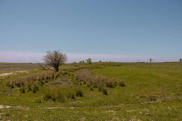 320 Acres of Agricultural Land for Sale in Shamrock, Texas