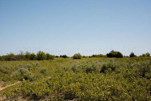 320 Acres of Recreational Land for Sale in Shamrock, Texas