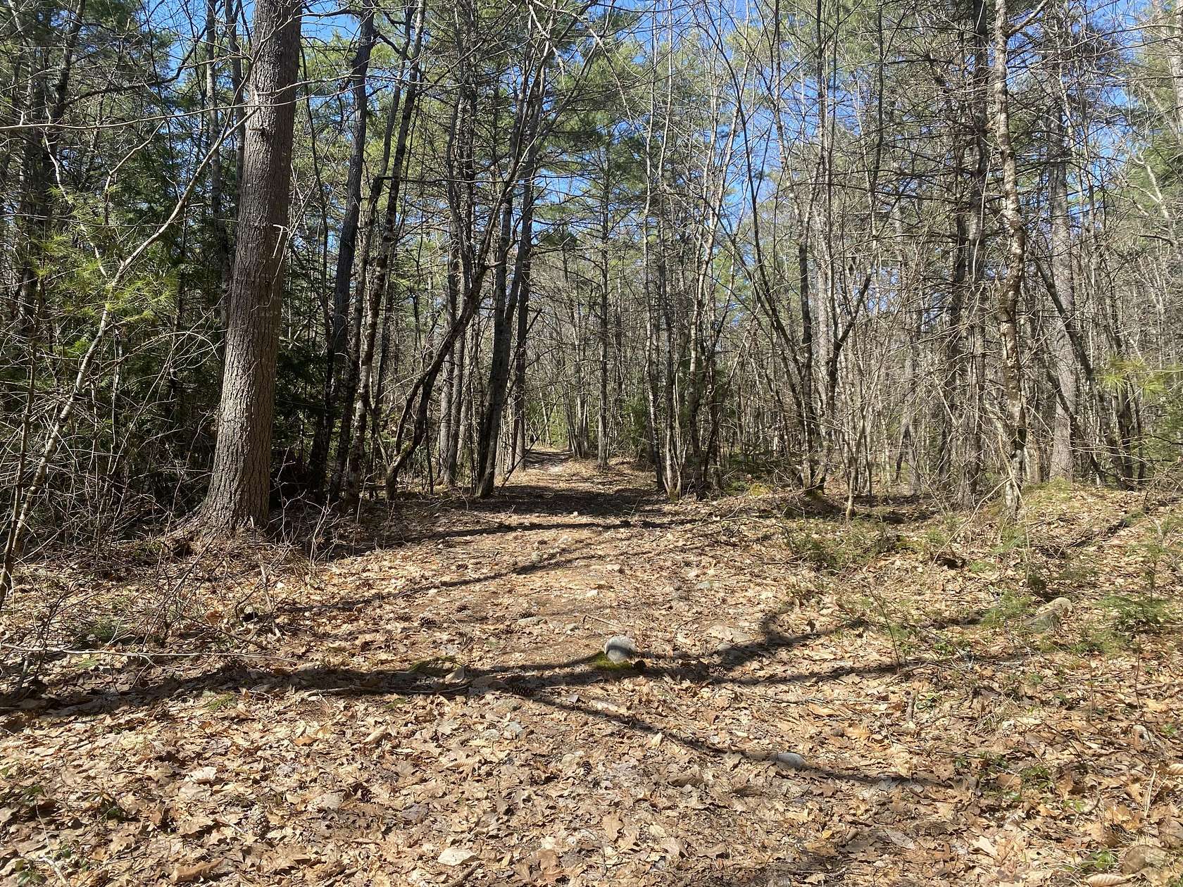 2.5 Acres of Residential Land for Sale in Poland, Maine
