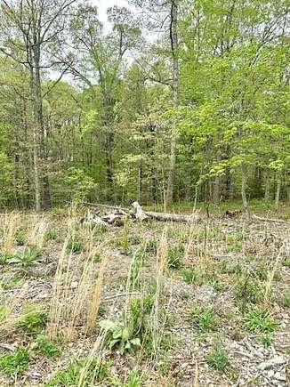 0.28 Acres of Residential Land for Sale in Bella Vista, Arkansas