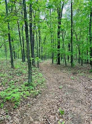 13.447 Acres of Land for Sale in Elkins, Arkansas