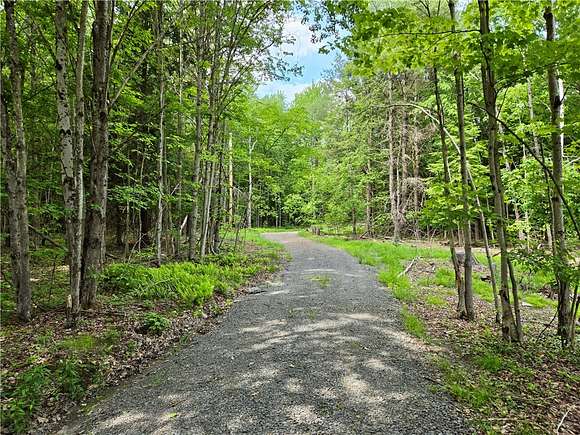 6.8 Acres of Residential Land with Home for Sale in Davenport, New York